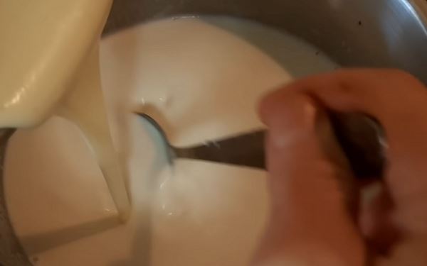 Домашний пломбир из сливок и молока
